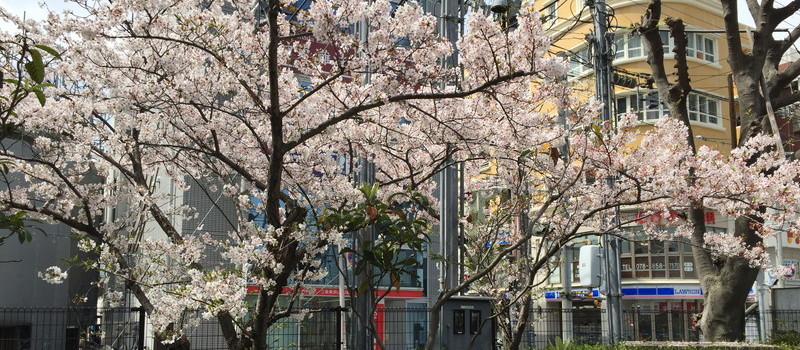 湿度の高い季節の修理